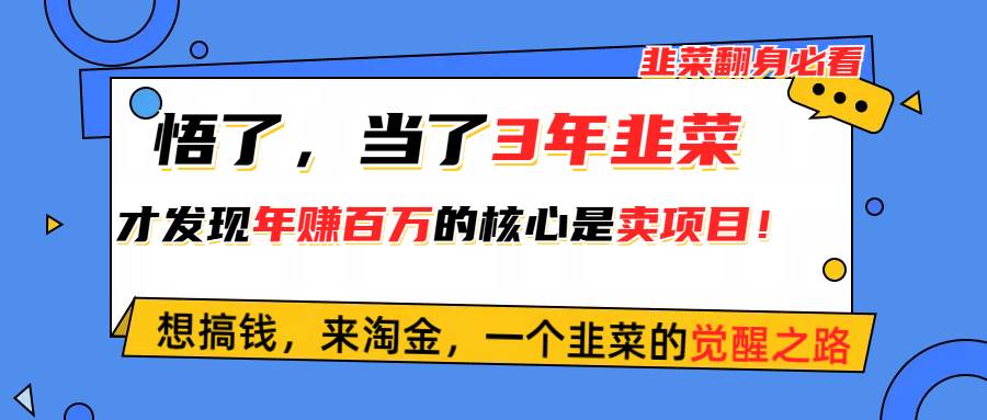 悟了，当了3年韭菜，才发现网赚圈年赚100万的核心是卖项目，含泪分享！聚创吧-网创项目资源站-副业项目-创业项目-搞钱项目聚创吧