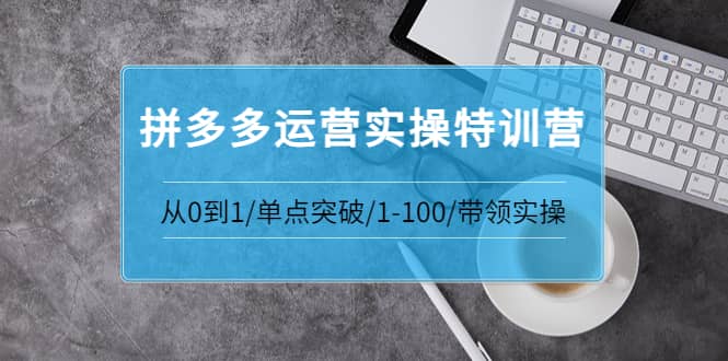 拼多多运营实操特训营：从0到1/单点突破/1-100/带领实操 价值2980元聚创吧-网创项目资源站-副业项目-创业项目-搞钱项目聚创吧