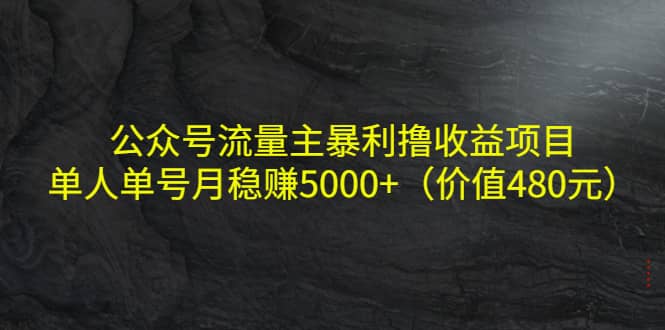 公众号流量主暴利撸收益项目，单人单号月稳赚5000+（价值480元）聚创吧-网创项目资源站-副业项目-创业项目-搞钱项目聚创吧