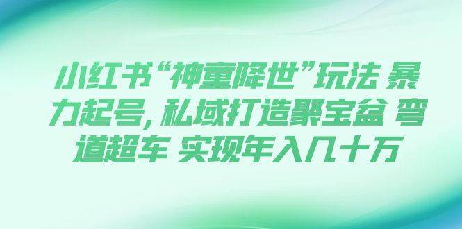 小红书“神童降世”玩法 暴力起号,私域打造聚宝盆 弯道超车 实现年入几十万聚创吧-网创项目资源站-副业项目-创业项目-搞钱项目聚创吧