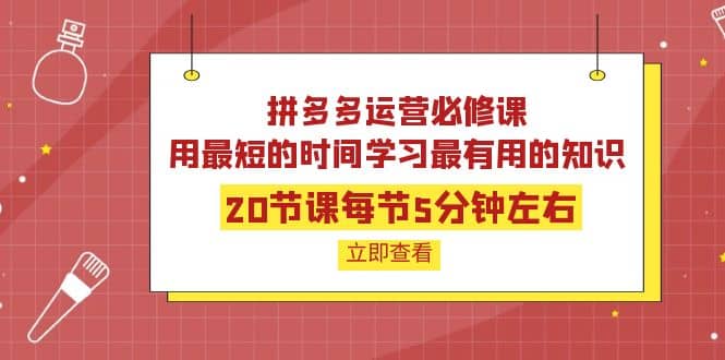 拼多多运营必修课：20节课每节5分钟左右，用最短的时间学习最有用的知识聚创吧-网创项目资源站-副业项目-创业项目-搞钱项目聚创吧