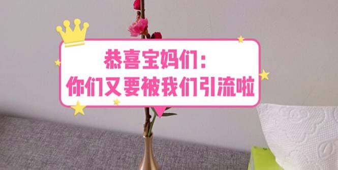 恭喜宝妈们：你们又要被我们引流了（教程+222g资料）聚创吧-网创项目资源站-副业项目-创业项目-搞钱项目聚创吧