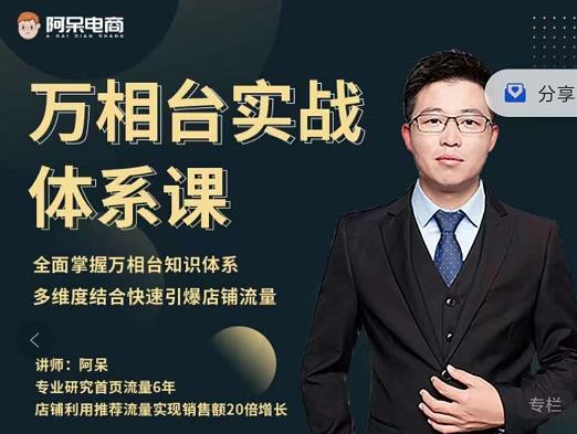 阿呆-万相台实战体系课，帮您全面掌握万相台知识体系聚创吧-网创项目资源站-副业项目-创业项目-搞钱项目聚创吧