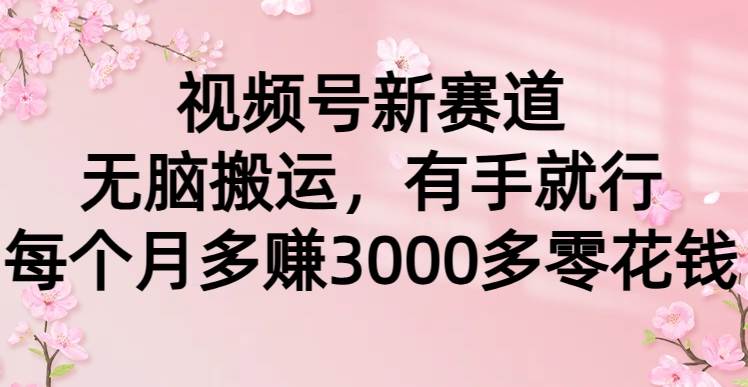 视频号新赛道，无脑搬运，有手就行，每个月多赚3000多零花钱聚创吧-网创项目资源站-副业项目-创业项目-搞钱项目聚创吧