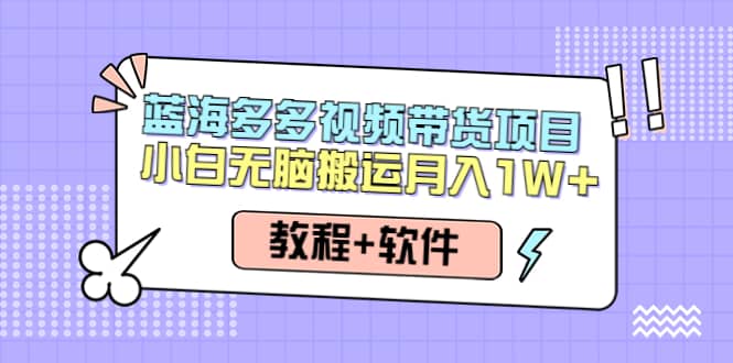 人人都能操作的蓝海多多视频带货项目 小白无脑搬运（教程+软件）聚创吧-网创项目资源站-副业项目-创业项目-搞钱项目聚创吧