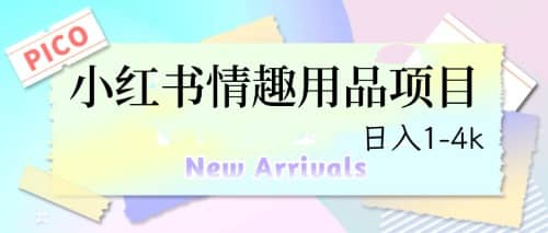 最新小红书情趣用品项目，日入1-4k聚创吧-网创项目资源站-副业项目-创业项目-搞钱项目聚创吧