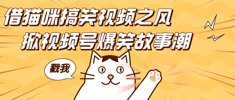 借猫咪搞笑视频之风，掀视频号爆笑故事潮，轻松日赚四位数，开启无门槛赚钱新体验！聚创吧-网创项目资源站-副业项目-创业项目-搞钱项目聚创吧