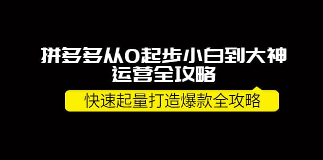 拼多多从0起步小白到大神运营全攻略聚创吧-网创项目资源站-副业项目-创业项目-搞钱项目聚创吧