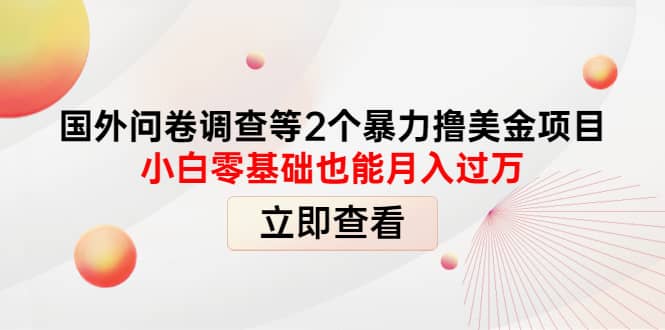 国外问卷调查等2个暴力撸美元项目，小白零基础也能月入过万聚创吧-网创项目资源站-副业项目-创业项目-搞钱项目聚创吧