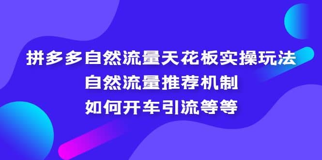 拼多多自然流量天花板实操玩法：自然流量推荐机制，如何开车引流等等聚创吧-网创项目资源站-副业项目-创业项目-搞钱项目聚创吧