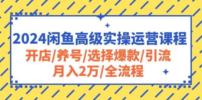 2024闲鱼高级实操运营课程：开店/养号/选择爆款/引流/月入2万/全流程聚创吧-网创项目资源站-副业项目-创业项目-搞钱项目聚创吧