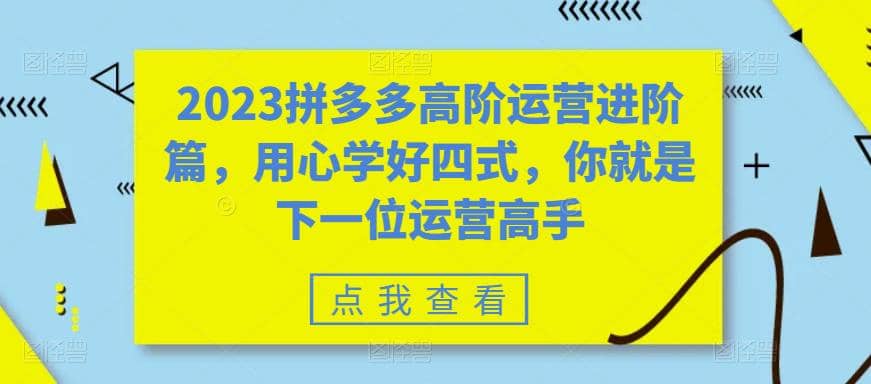 2023拼多多高阶运营进阶篇，用心学好四式，你就是下一位运营高手聚创吧-网创项目资源站-副业项目-创业项目-搞钱项目聚创吧