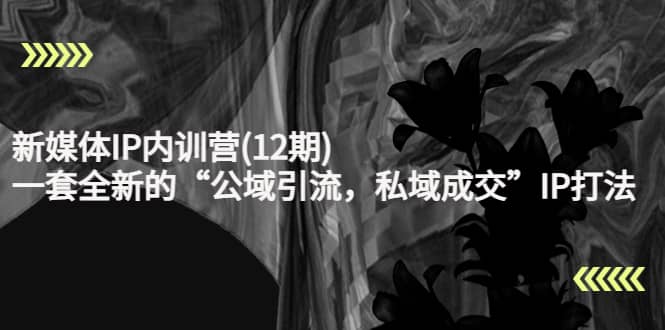 新媒体IP内训营(12期)，一套全新的“公域引流，私域成交”IP打法，直接带走聚创吧-网创项目资源站-副业项目-创业项目-搞钱项目聚创吧
