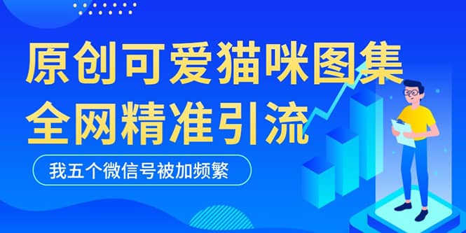 黑科技纯原创可爱猫咪图片，全网精准引流，实操5个VX号被加频繁聚创吧-网创项目资源站-副业项目-创业项目-搞钱项目聚创吧