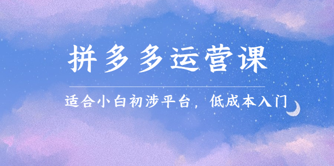 拼多多运营课，适合小白初涉平台，低成本入门聚创吧-网创项目资源站-副业项目-创业项目-搞钱项目聚创吧