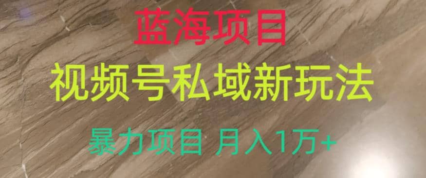 蓝海项目，视频号私域新玩法，暴力项目月入1万+【揭秘】聚创吧-网创项目资源站-副业项目-创业项目-搞钱项目聚创吧
