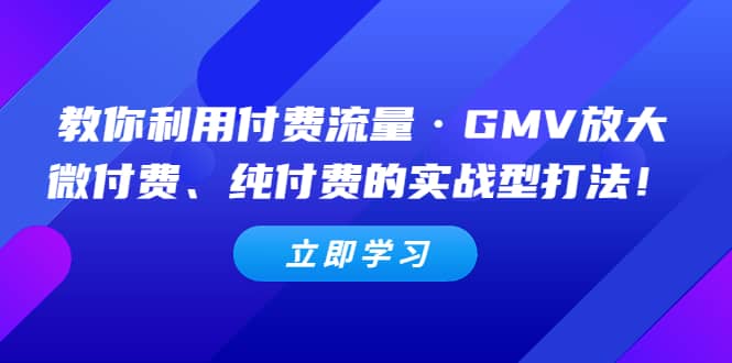 教你利用付费流量·GMV放大，微付费、纯付费的实战型打法聚创吧-网创项目资源站-副业项目-创业项目-搞钱项目聚创吧