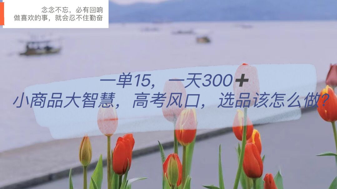 一单15，一天300+，小商品大智慧，高考风口，选品该怎么布局聚创吧-网创项目资源站-副业项目-创业项目-搞钱项目聚创吧