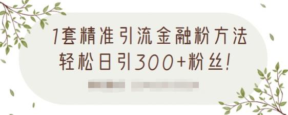 1套精准引流金融粉方法，轻松日引300+粉丝【视频课程】聚创吧-网创项目资源站-副业项目-创业项目-搞钱项目聚创吧