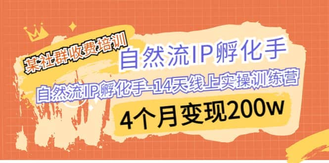 某社群收费培训：自然流IP 孵化手-14天线上实操训练营 4个月变现200w聚创吧-网创项目资源站-副业项目-创业项目-搞钱项目聚创吧