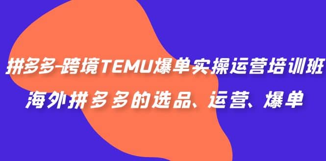 拼多多-跨境TEMU爆单实操运营培训班，海外拼多多的选品、运营、爆单聚创吧-网创项目资源站-副业项目-创业项目-搞钱项目聚创吧