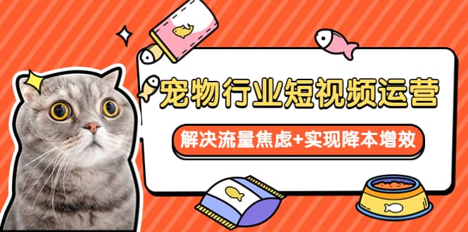 宠物/行业短视频运营 流量增长的一层窗户纸 解决流量焦虑+实现降本增效聚创吧-网创项目资源站-副业项目-创业项目-搞钱项目聚创吧