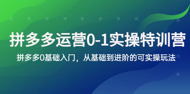 拼多多-运营0-1实操训练营，拼多多0基础入门，从基础到进阶的可实操玩法聚创吧-网创项目资源站-副业项目-创业项目-搞钱项目聚创吧