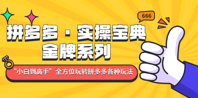 拼多多·实操宝典：金牌系列“小白到高手”带你全方位玩转拼多多各种玩法聚创吧-网创项目资源站-副业项目-创业项目-搞钱项目聚创吧