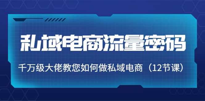私域电商流量密码：千万级大佬教您如何做私域电商（12节课）聚创吧-网创项目资源站-副业项目-创业项目-搞钱项目聚创吧