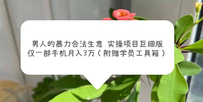 男人的暴力合法生意实操项目巨细版：仅一部手机月入3w（附赠学员工具箱）聚创吧-网创项目资源站-副业项目-创业项目-搞钱项目聚创吧