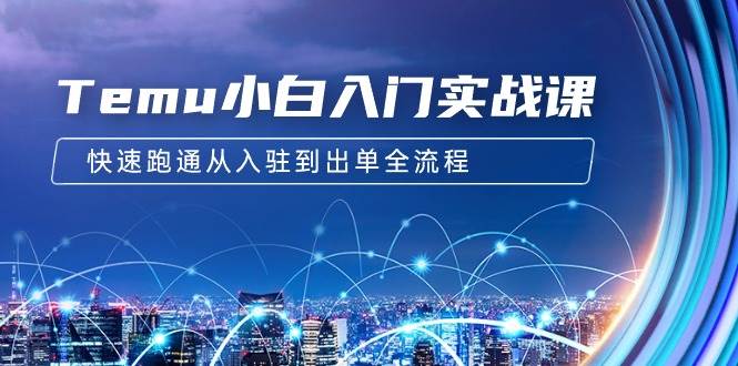 Temu小白入门实战课：跨境拼多多电商培训 快速跑通从入驻到出单全流程-12节聚创吧-网创项目资源站-副业项目-创业项目-搞钱项目聚创吧