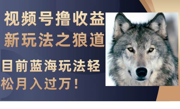 视频号撸收益新玩法之狼道，目前蓝海玩法轻松月入过万！聚创吧-网创项目资源站-副业项目-创业项目-搞钱项目聚创吧