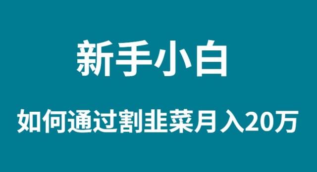 新手小白如何通过割韭菜月入 20W聚创吧-网创项目资源站-副业项目-创业项目-搞钱项目聚创吧