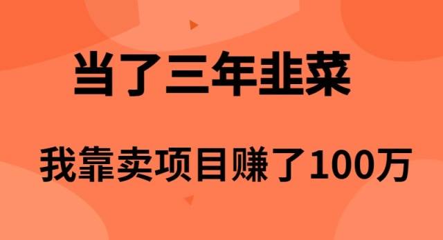 当了3年韭菜，我靠卖项目赚了100万聚创吧-网创项目资源站-副业项目-创业项目-搞钱项目聚创吧