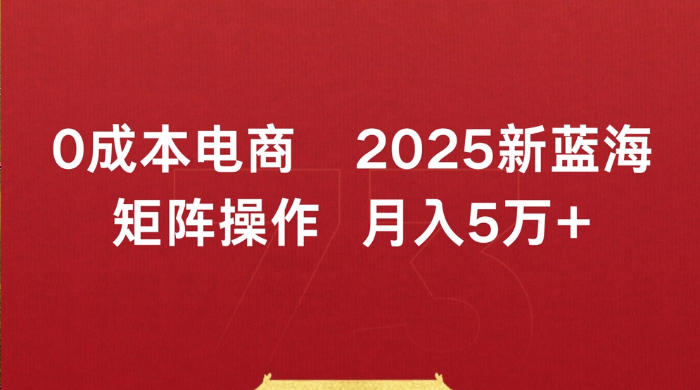 0成本电商2025新蓝海矩阵操作 月入5万+聚创吧-网创项目资源站-副业项目-创业项目-搞钱项目聚创吧